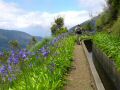 Madeira0891.JPG
